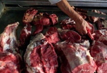 فیلم/ جزئیات تکان دهنده پرونده کشف ۳ تن گوشت الاغ در تهران