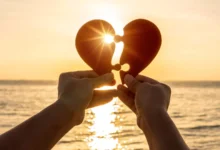 نیمه‌گمشده‌