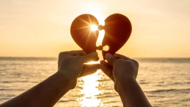 نیمه‌گمشده‌