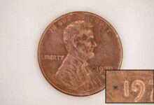 کوچک‌ترین ربات‌ جهان ساخته شد