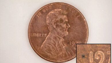 کوچک‌ترین ربات‌ جهان ساخته شد