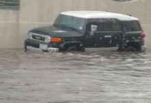 ویدیو داغ؛ جده غرق در سیلاب