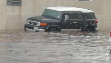 ویدیو داغ؛ جده غرق در سیلاب