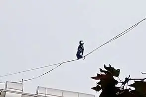 دختر جوان روی سیمهای معلق