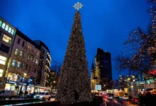 بلندترین درخت کریسمس جهان