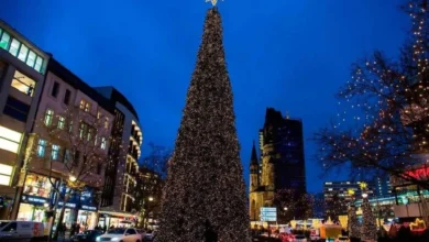 بلندترین درخت کریسمس جهان