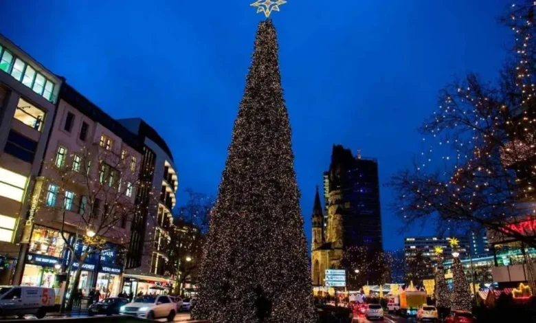 بلندترین درخت کریسمس جهان