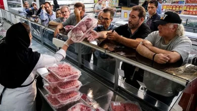 اختلاف چشمگیر میان قیمت دام و گوشت در بازار پایتخت