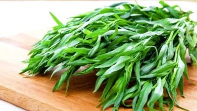 بهترین‌ترین سبزی های معطر ترشی کدامند؟